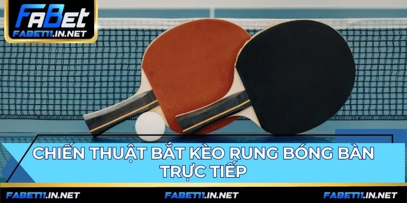 Cược bóng bàn FABET là cuộc đấu trí với tỷ lệ live