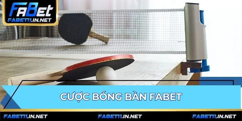 Cược Bóng Bàn FABET - Hướng Dẫn Soi Kèo Rung 2026