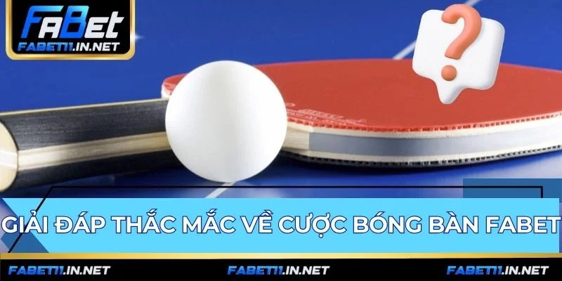Giải đáp thắc mắc phổ biến về cược bóng bàn FABET