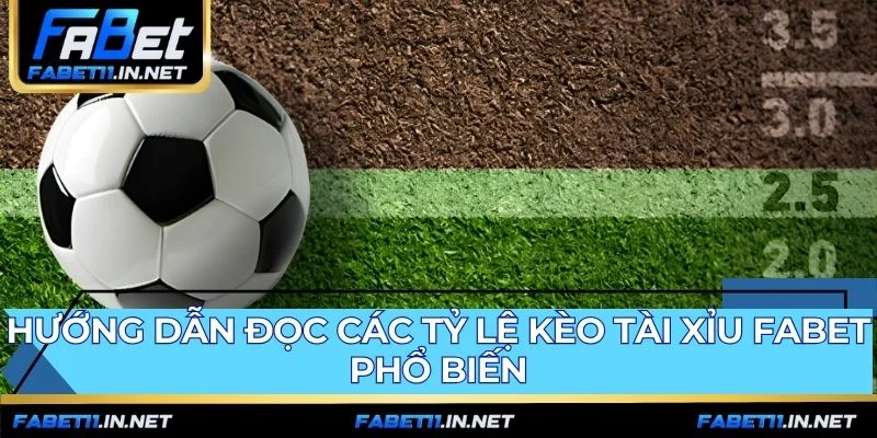 Các tỷ lệ kèo O/U ẩn chứa kịch bản cược thắng thua riêng